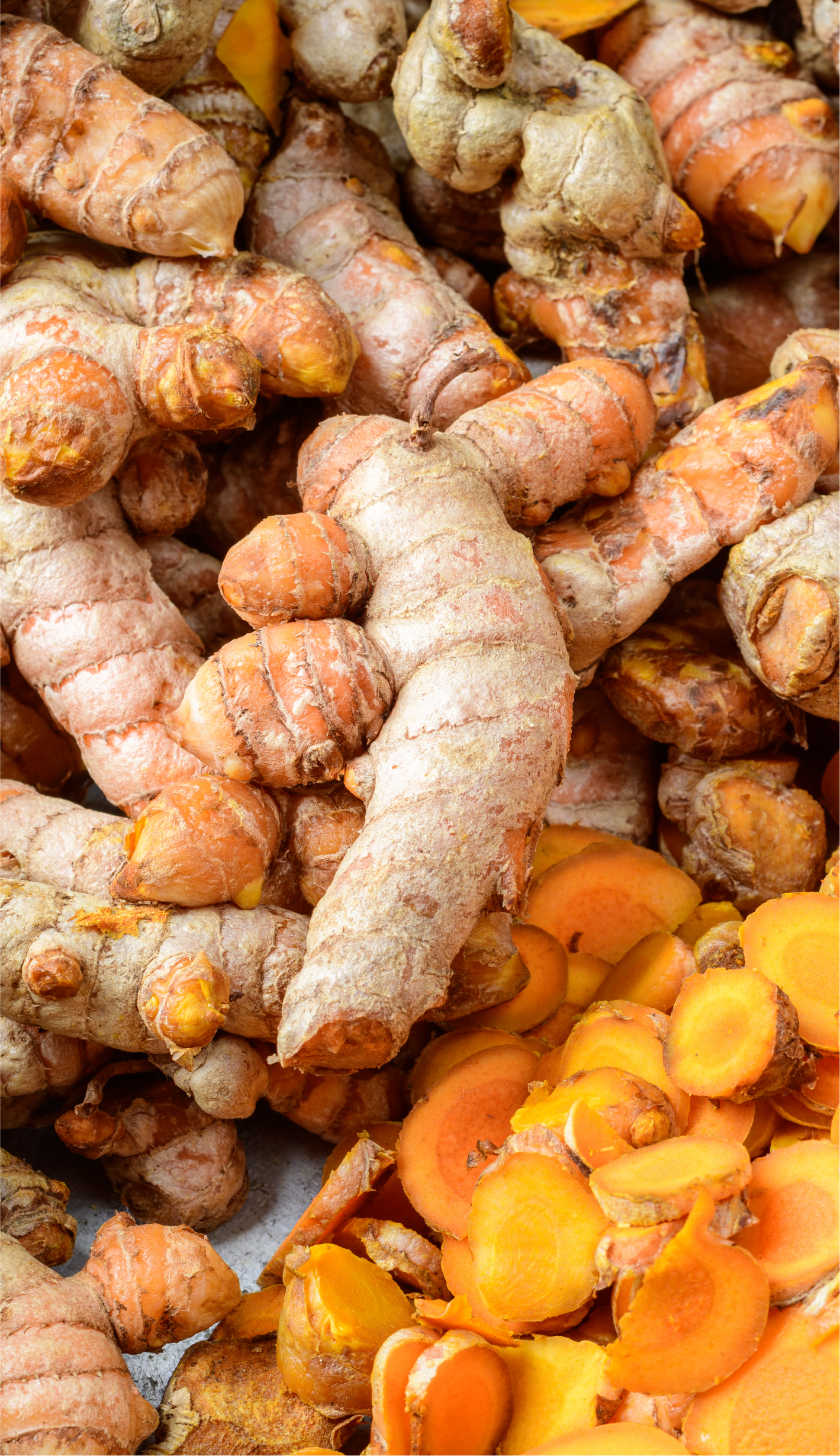 Turmeric